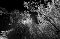 florida - 2022 - spring - 038