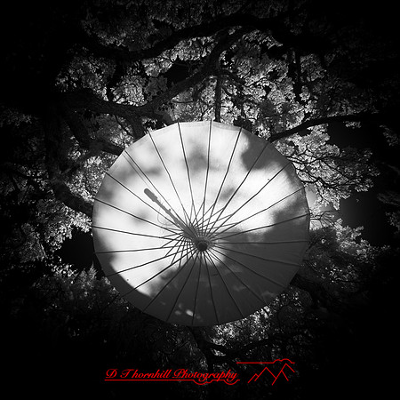 florida - 2022 - spring - 042