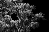 florida - 2022 - spring - 045