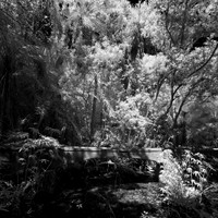 florida - 2022 - spring - 043