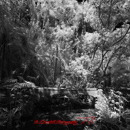 florida - 2022 - spring - 043