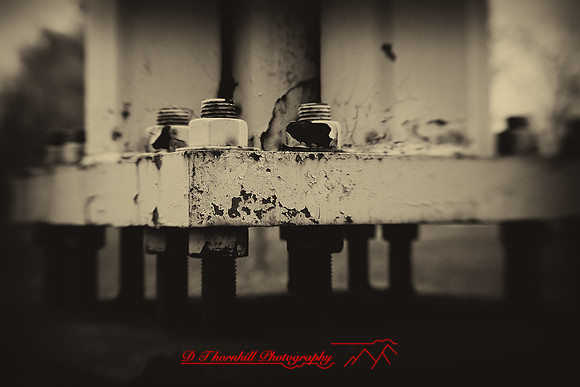 assorted_images-2009_60-nik.jpg