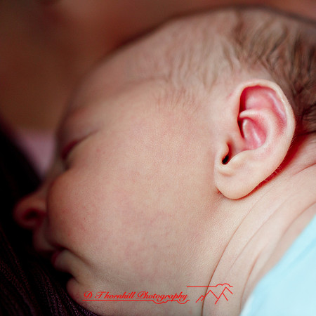 piper_llince-april-2013-22