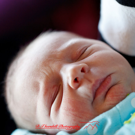 piper_llince-april-2013-24