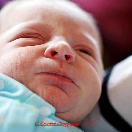 piper_llince-april-2013-26