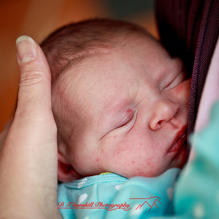 piper_llince-april-2013-02