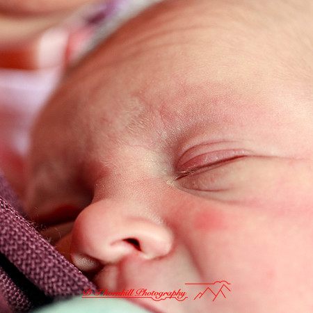 piper_llince-april-2013-04