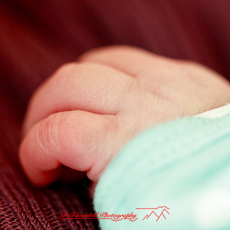 piper_llince-april-2013-08