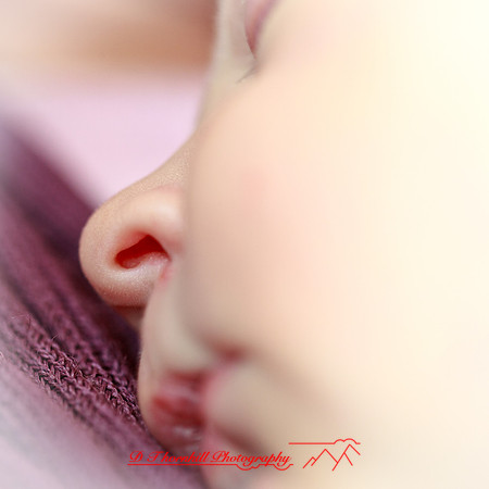 piper_llince-april-2013-10