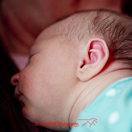 piper_llince-april-2013-14
