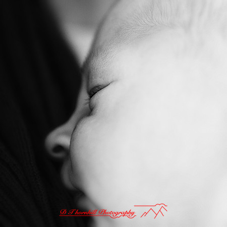 piper_llince-april-2013-17-nas