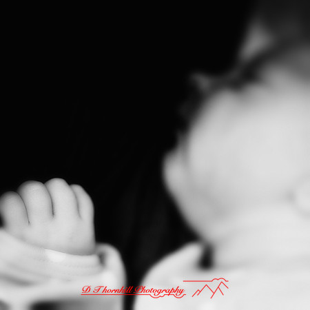 piper_llince-april-2013-19-nas