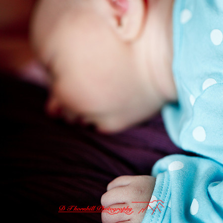 piper_llince-april-2013-20