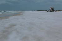 florida - 2022 - spring - 115
