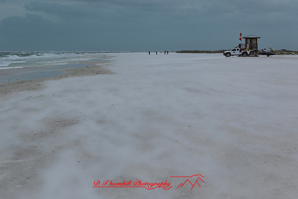 florida - 2022 - spring - 115