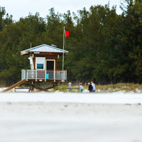 florida - 2022 - spring - 119