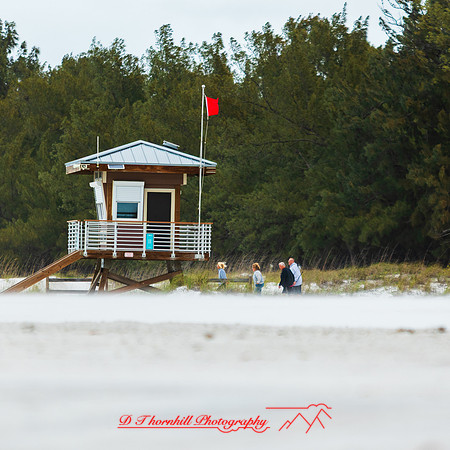 florida - 2022 - spring - 119