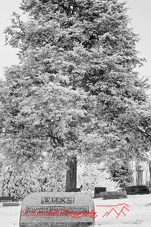 infrared-2008_051