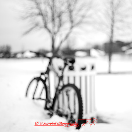 river of ice - 2023-005
