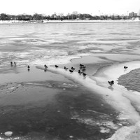 river of ice - 2023-003