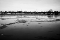 river of ice - 2023-009-nik-ps-ai