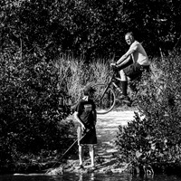 florida - 2022 - spring - 175-nik-ps-ai