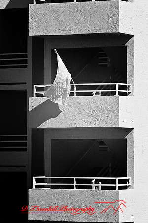 florida-2009-images-infrared_05.jpg