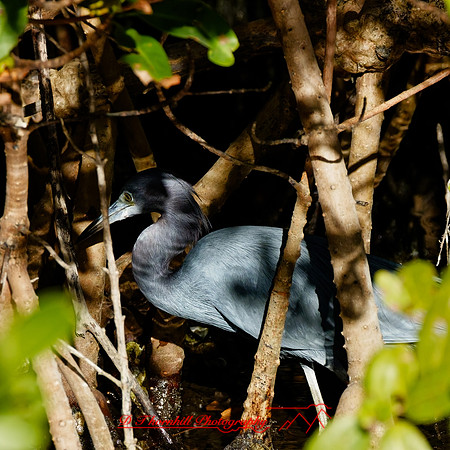 florida - 2022 - spring - 128_DxO
