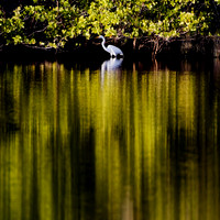 florida - 2022 - spring - 131_DxO