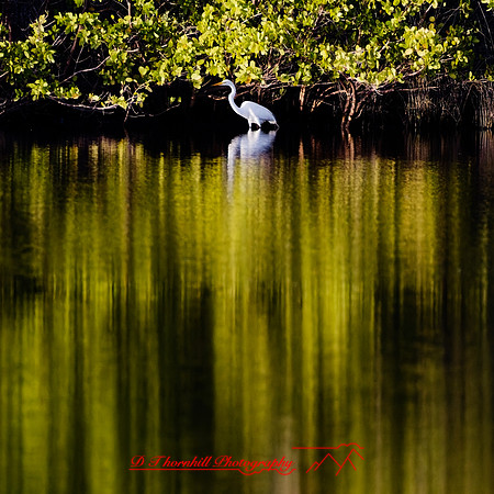 florida - 2022 - spring - 131_DxO