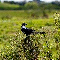 florida - 2022 - spring - 125_DxO