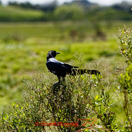 florida - 2022 - spring - 125_DxO