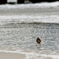 florida - 2022 - spring - 133_DxO