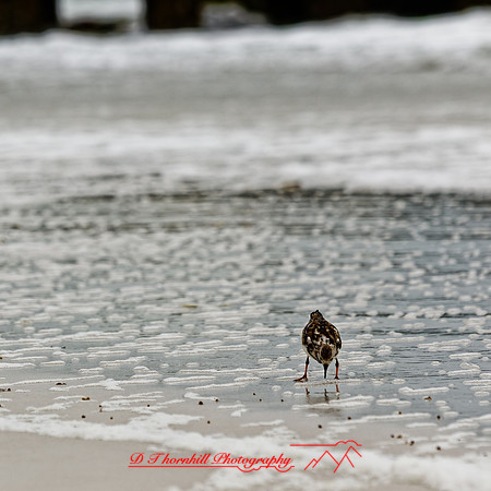 florida - 2022 - spring - 133_DxO