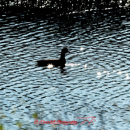florida - 2022 - spring - 135_DxO