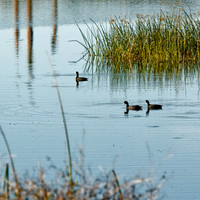 florida - 2022 - spring - 136_DxO