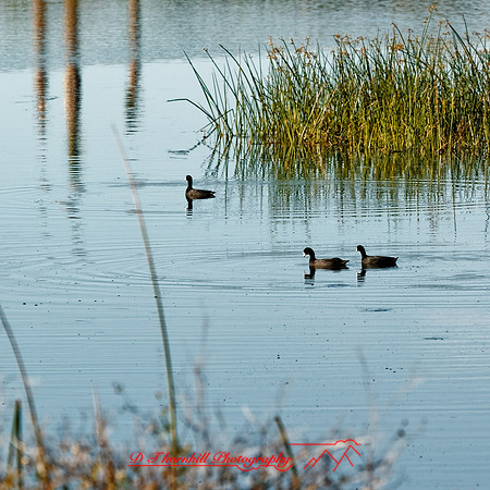 florida - 2022 - spring - 136_DxO