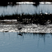 florida - 2022 - spring - 139_DxO