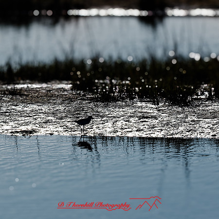 florida - 2022 - spring - 139_DxO