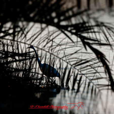 florida - 2022 - spring - 141_DxO