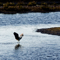 florida - 2022 - spring - 140_DxO