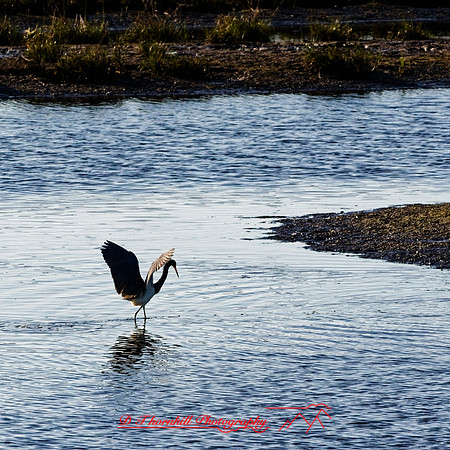 florida - 2022 - spring - 140_DxO