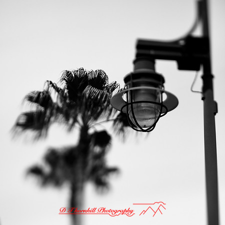 florida-2013-images058
