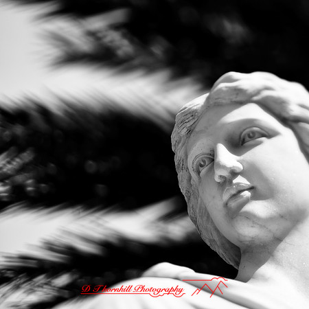 florida-2013-images066