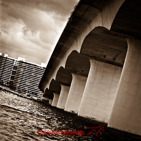 florida-2013-images075