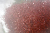 assorted_images-2008_61.jpg
