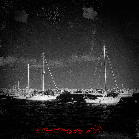 FL-March 2018-032_DxO