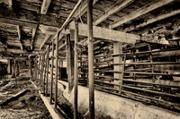 assorted_images-2011-58-nas