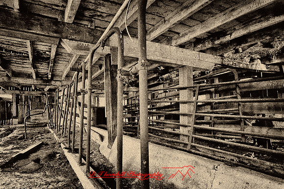 assorted_images-2011-58-nas