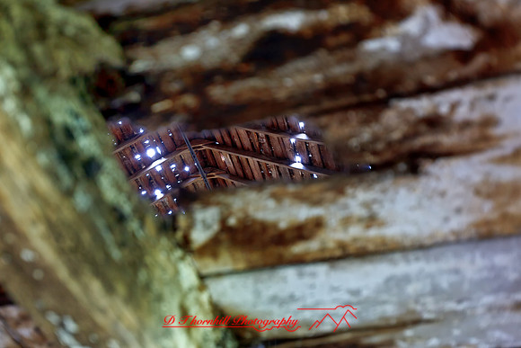 assorted_images-2011-59-nas